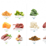 Protein-Rich-Foods